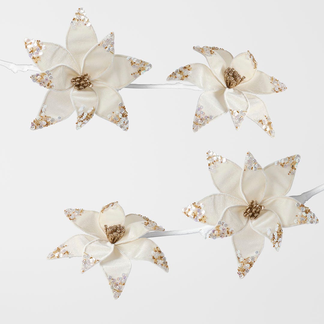 https://s3-ap-southeast-2.amazonaws.com/fusionfactory.commerceconnect.bbnt.production/pim_media/000/196/747/M_F_OP_S4-Velvet-Beaded-Flower-Clip_26221101_01_SI.jpg?1751257486