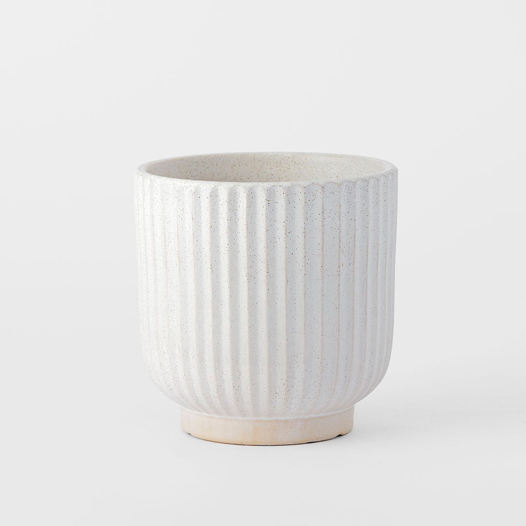 https://s3-ap-southeast-2.amazonaws.com/fusionfactory.commerceconnect.bbnt.production/pim_media/000/184/904/M_F_Ribbed-Ceramic-Pot-Med_Off-White_26123101_SI.jpg?1734668332