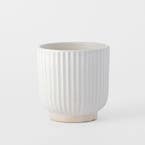 https://s3-ap-southeast-2.amazonaws.com/fusionfactory.commerceconnect.bbnt.production/pim_media/000/184/904/M_F_Ribbed-Ceramic-Pot-Med_Off-White_26123101_SI.jpg?1734668332