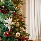 https://s3-ap-southeast-2.amazonaws.com/fusionfactory.commerceconnect.bbnt.production/pim_media/000/169/953/M_F_Xmas_S24_LS_Location_Merry_Tree_Hanging_Decs_Poinsettia_Details_SI.jpg?1726460393