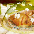 https://s3-ap-southeast-2.amazonaws.com/fusionfactory.commerceconnect.bbnt.production/pim_media/000/158/567/S23-24_LS_Outdoor_Picnic_Food_Cover_Bumble_Bee_Detail_SI.jpg?1705358438
