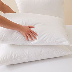 Choose your Pillow