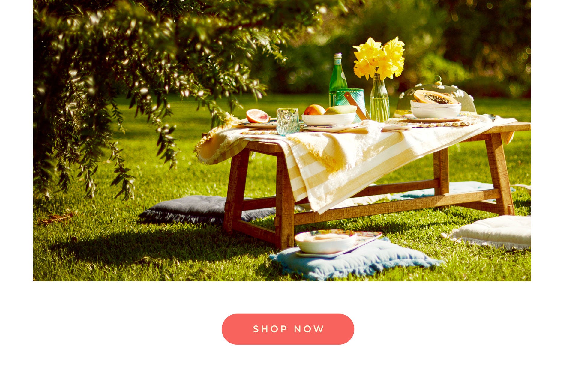 Picnic and Outdoor Dining